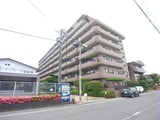 ライオンズガーデン南鏡島