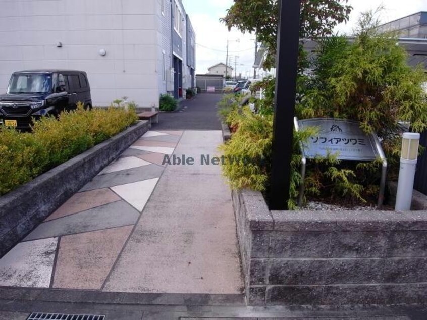  ソフィア ツワミ