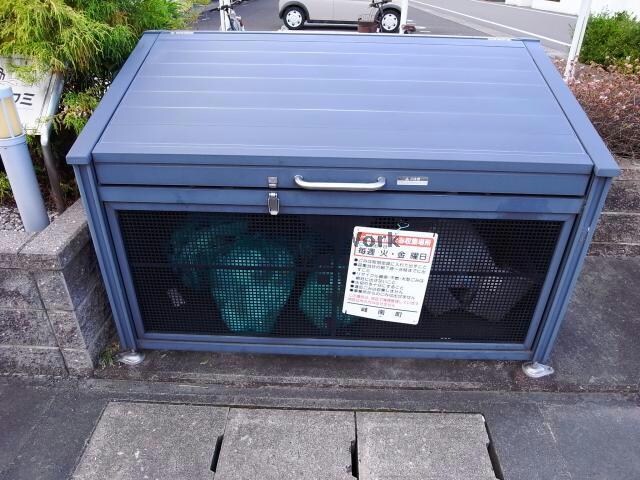  ソフィア ツワミ