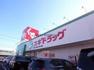 スギドラッグ鵜沼店(ドラッグストア)まで1967m アムール林 B