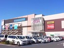 イオン各務原店(スーパー)まで1140m サープラスⅠ浜見