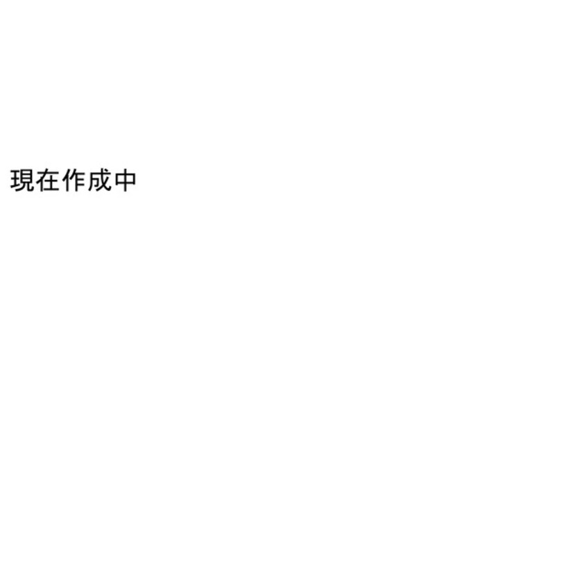 間取図 セジュール水野Ⅰ