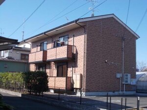 プリムローズ(芋島）
