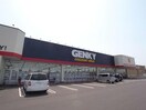 ゲンキー関東新店(ドラッグストア)まで501m サンハイツスター