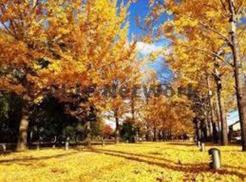 学びの森(公園)まで1953m オークヴィレッヂ21　弐番館