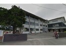 関市立富岡小学校(小学校)まで465m クリスタルハイツ大平
