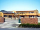 川島保育園(幼稚園/保育園)まで582m アムール松倉