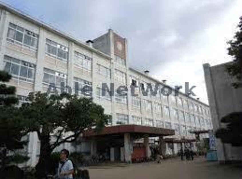 岐阜市立梅林小学校(小学校)まで903m PALACE SHINO