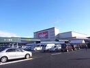 バロー各務原中央店(スーパー)まで819m サントピア新栄