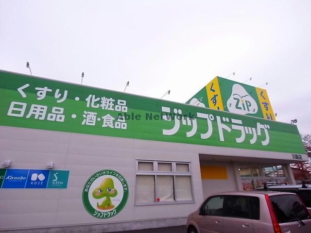 ジップドラッグ川島店(ドラッグストア)まで1006m East　PARK　PLACE