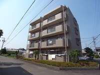 ユーミーグレース