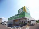 ジップドラッグ川島店(ドラッグストア)まで858m グリンピア花水木