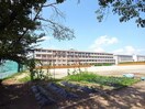 各務原市立川島小学校(小学校)まで856m グリンピア花水木