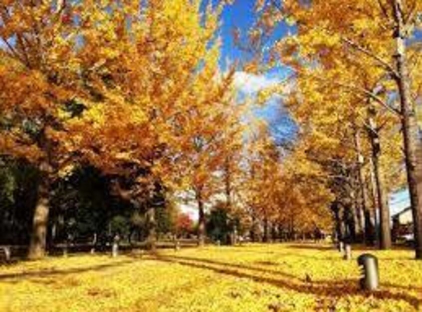 学びの森(公園)まで1900m グリーンコート(前野町)