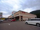 コープぎふ芥見店(スーパー)まで3293m※※参考写真 リヴィエール桐谷