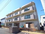 ユーミープランドール