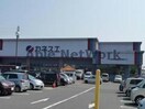カネスエ浅井店(スーパー)まで2355m パピヨン　タナカ