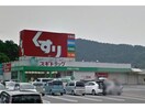 スギドラッグ芥見店(ドラッグストア)まで2490m パークハイツⅡ