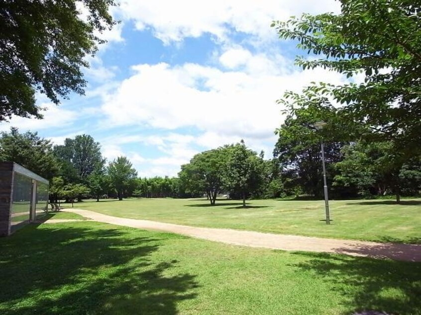 学びの森(公園)まで2193m シティー青雲