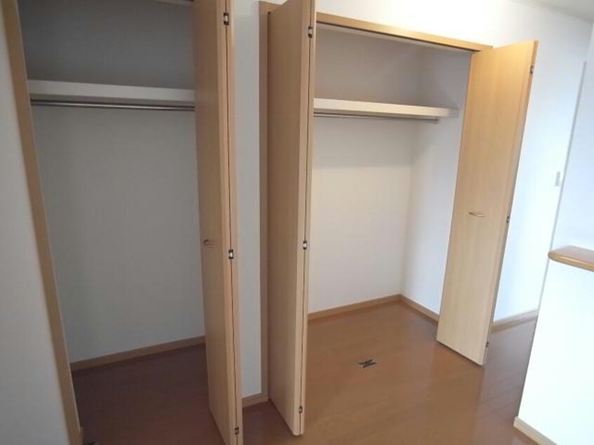  ブルックベル　B