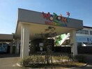 のぞみ第二幼稚園(幼稚園/保育園)まで605m ブルックベル　B