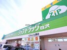 ジップドラッグ白沢にんじん通店(ドラッグストア)まで771m ソレイユ朝日