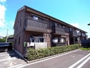 A ウィルモアアサノ