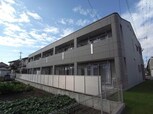 ドッグウッド