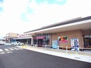 マックスバリュ各務原店(スーパー)まで2219m グリーンフォレストAZUMI