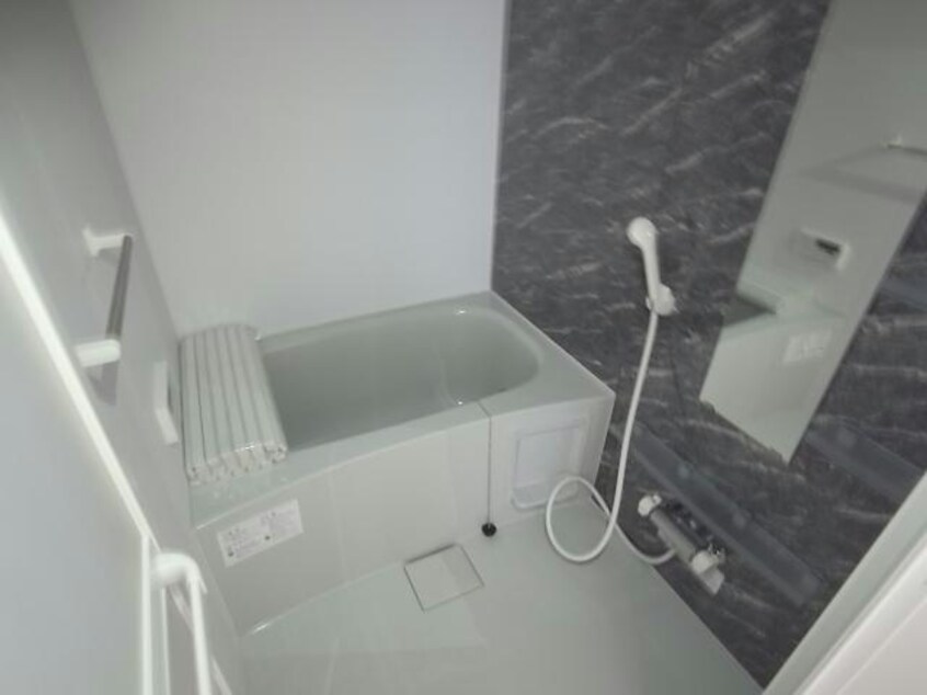 ※反転参考写真 サンフィットⅢ