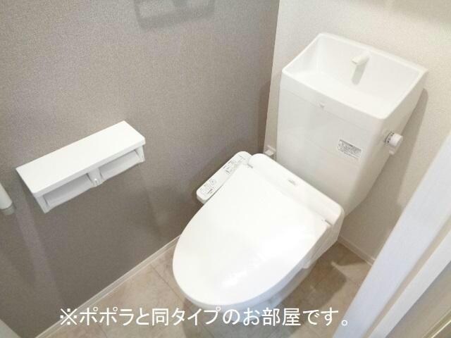  ブロッサム