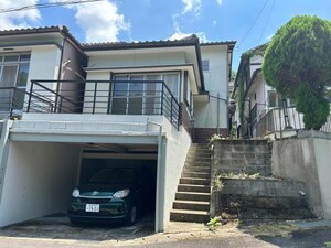 ハレテラス芥見