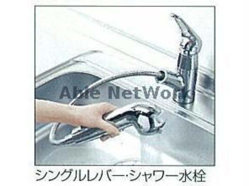  ソフィア　ヌール