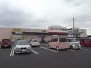 クスリのアオキにんじん通り店(ドラッグストア)まで1372m Court　Azelia　D
