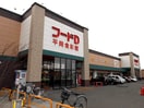ﾌｰﾄﾞD 平岡食彩館(スーパー)まで432m 中央バス/平岡3-3 3階 築32年
