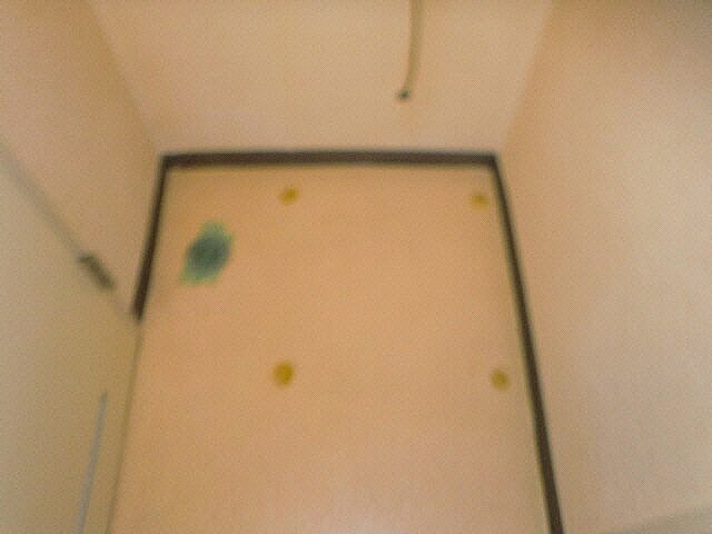  デベックス清田