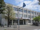 札幌市立北野台小学校(小学校)まで816m 中央バス/北野3-5 3階 築39年