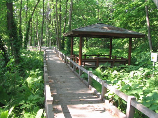 清田緑地(公園)まで472m ラ・カーサ・リブロ
