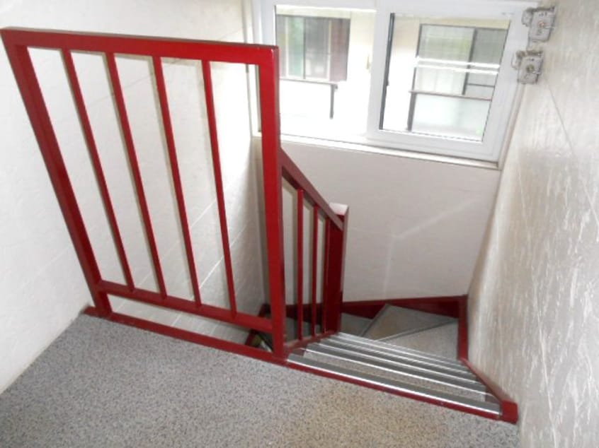  プルメリア真栄