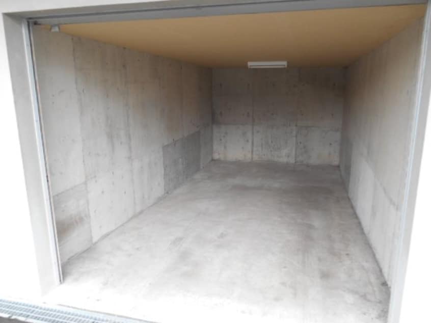  プルメリア真栄