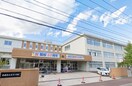 札幌市立真栄小学校(小学校)まで1010m ドミ真栄パーク