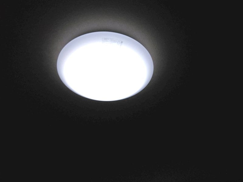  ラ・フォレスタ