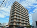  ハイブライト平岡