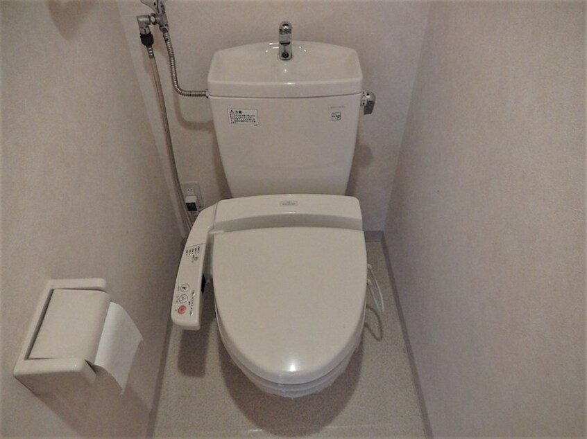  シャムロック