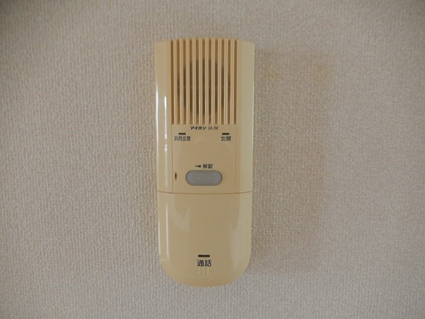  シャムロック
