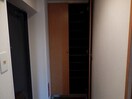  シャムロック