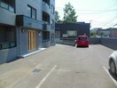  シャムロック