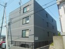  シャムロック