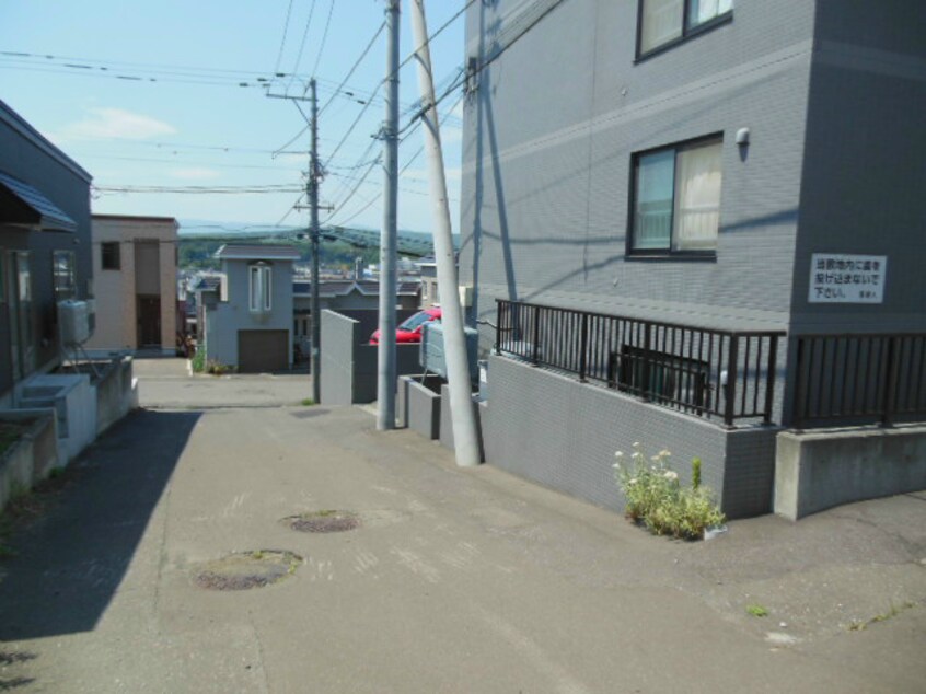  シャムロック
