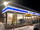 ﾛｰｿﾝ 北広島輪厚中央(コンビニ)まで504m 中央バス/輪厚郵便局 1-2階 築17年